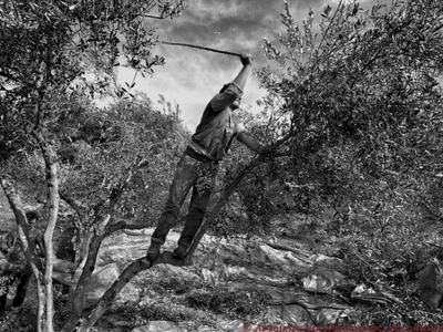 940 προσλήψεις γεωπόνων και εργατοτεχνιτ...