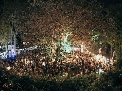 Περίπου 15.000 οι επισκέπτες στο Patras ...