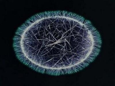 Πώς φαίνονται οι ναρκωτικές ουσίες μέσα ...