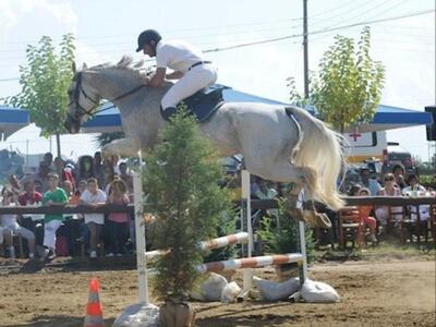 Ιππασία: Πελοποννησιακός Αγώνας Υπερπήδη...