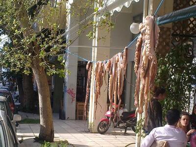 Ολόφρεσκα χταπόδια απλωμένα στο σύρμα σε...