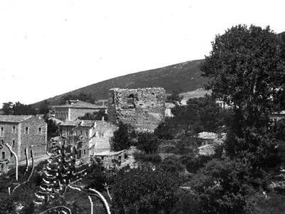 Αχαϊα: Μπορείτε να φανταστείτε ποια είνα...