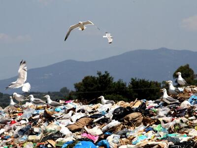Ηλεία: Απομακρύνθηκαν 120 τόνοι σκουπιδι...
