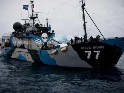 Sea Shepherd: Έσωσε 750 φάλαινες από του...