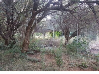 Μέριμνα πριν