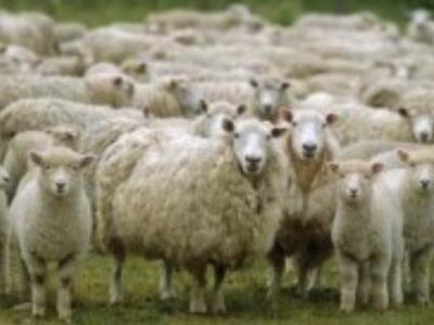 "Οι στρατιές του μίσους και της απα...