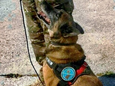 Οι λιμενικοί αποχαιρετούν τον Dorian K9:...