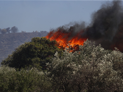 Πολύ υψηλός κίνδυνος πυρκαγιάς την Τρίτη...