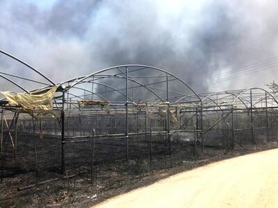 Πρέβεζα: Υπό μερικό έλεγχο η φωτιά στη Β...