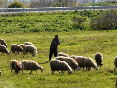 Δυτική Ελλάδα: Αναρτήθηκαν τα ονόματα τω...