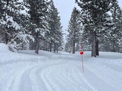  REUTERS / Φωτογραφία Jenna Greene