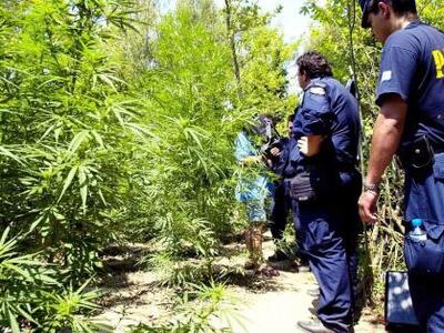 Κατασχέθηκαν 22 τόνοι χασίς στο Αργυρόκα...