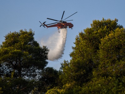 Σε ύφεση η φωτιά στη Νέα Μάκρη - Ήταν κο...