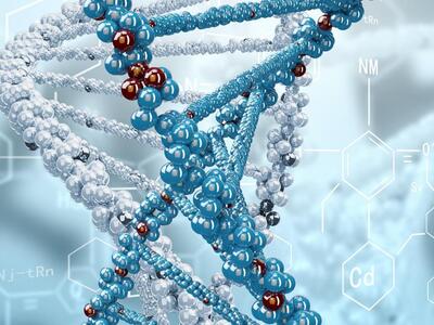 Νευροεπιστήμη: Ένας στους πέντε ανθρώπου...