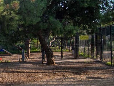 Κλειστό το Άλσος Χωροφυλακής μέχρι νεωτέρας