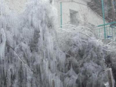 Αχαϊα: Όταν η φύση ...δημιουργεί... τέχν...