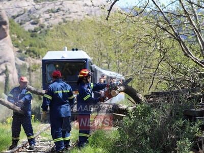 Καλάβρυτα: Δέντρο έπεσε στις γραμμές του...