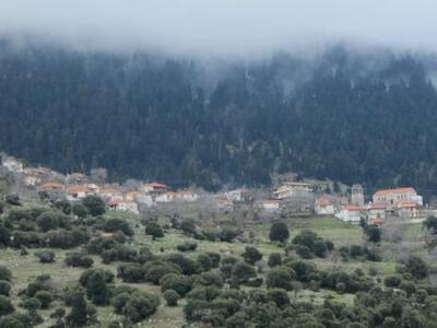 Ηλεία: Άμεση έπεμβαση των δικαστικών αρχ...