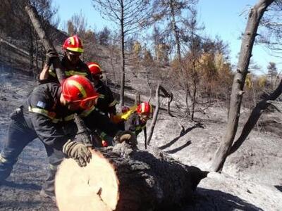 Παίζουν τη ζωή τους κορώνα γράμματα… εθελοντικά
