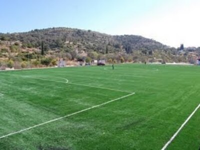 Ζητούν λύσεις για το γηπεδικό στα Αρκτικ...