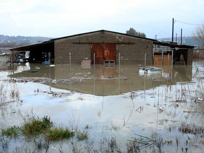 Ηλεία: Βιβλική η καταστροφή από τις πλημ...