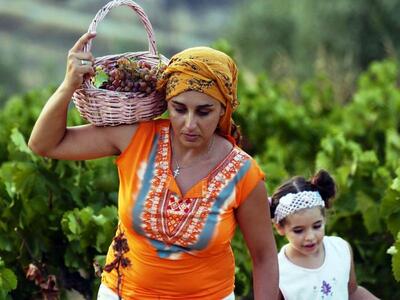 Γρηγόρι Αιγιάλειας: Δείτε όλο το πρόγραμ...