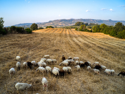 Επιπρόσθετα μέτρα για την ευλογιά των αι...