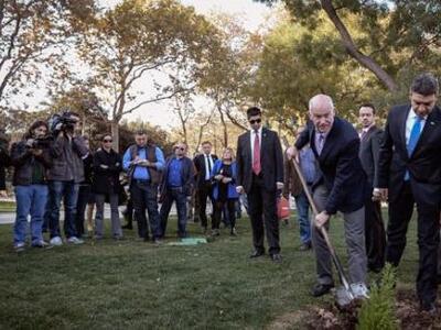 Δέντρο στο πάρκο Γκεζί στην Ταξίμ φύτεψε...