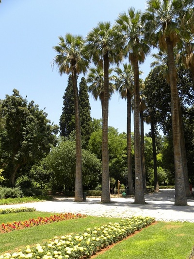 Ο Εθνικός Κήπος σήμερα