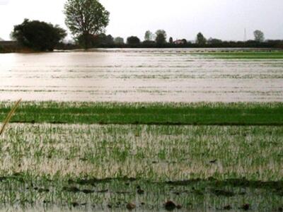 Βερθολομιό: Ξεπέρασαν κάθε προηγούμενο ο...