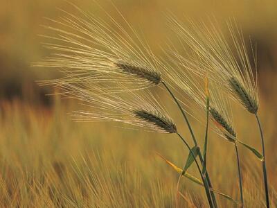 Η παιδική σκηνή της Πολιτείας συνεχίζει ...