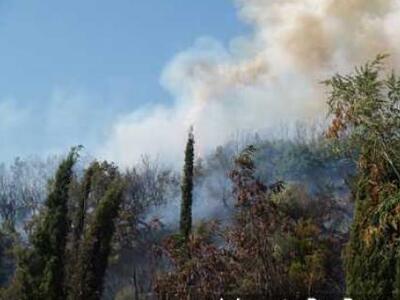 Τέθηκε υπό έλεγχο η φωτιά στον Σκιαδά Πρέβεζας