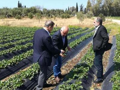 Δρομολογείται η ανακατασκευή της Γέφυρας...