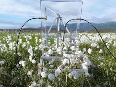 Μυστηριώδη μικρόβια επιταχύνουν την κλιμ...