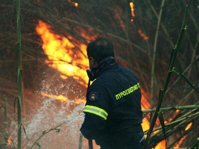 Ηλεία: Συνεχίζονται οι έρευνες για τους εμπρηστές 