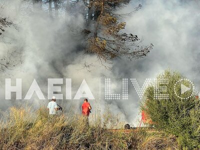 Ηλεία: Μεγάλη πυρκαγιά στην περιοχή της Βαρβάσαινας - ΦΩΤΟ