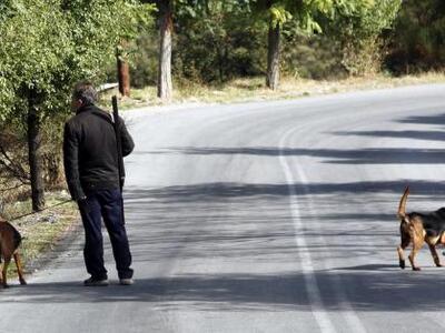 Τραγωδία στην Ορεινή Ναυπακτία: Αδερφός ...