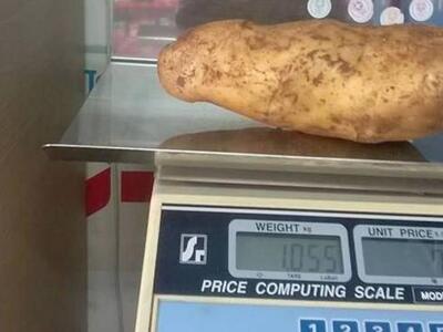 Αχαΐα: Η ...γιγαντιαία πατάτα που μπορεί...