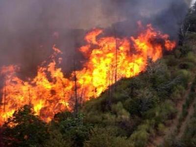 Ξανά στις φλόγες η Καλλιθέα Πατρών