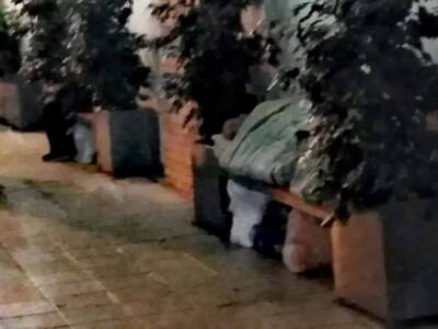 Το κοινωνικό πρόσωπο της πόλης "κοι...