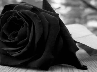 Αίγιο: "Έφυγε" η Δήμητρα Διγεν...