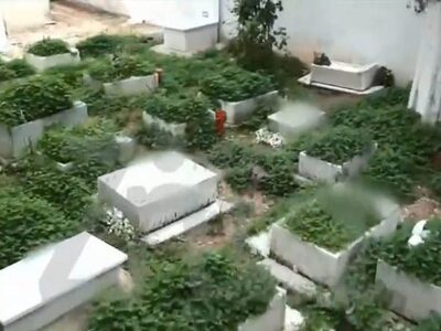 Ιερέας μετέτρεψε την αυλή του σε παράνομ...