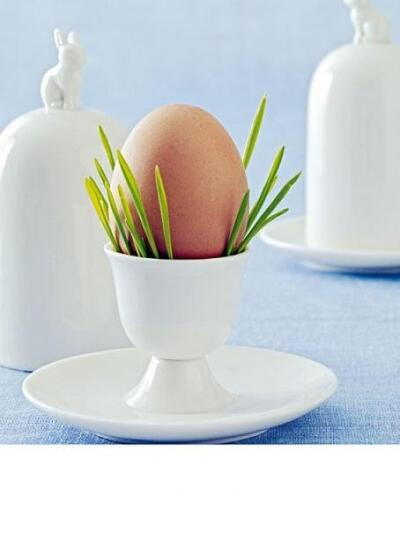 Ο,τι πιο απλό: χορταράκια σε αβγοθήκη!