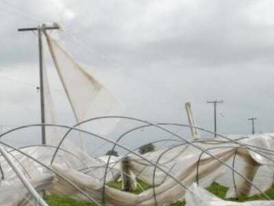 Δυτική Ελλάδα: Ανεμοστρόβιλος "ρήμα...