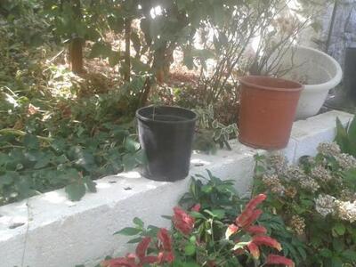 Συνελήφθη 39χρονος για καλλιέργεια ναρκω...