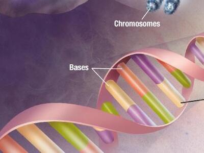 Πρόοδος στην κατανόηση του καρκίνου 