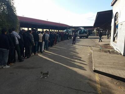 Η Κίνηση Υπεράσπισης Προσφύγων Πάτρας μο...