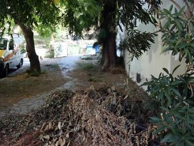 Πάτρα: H μικρή σκοτεινή ζούγκλα από τις ...