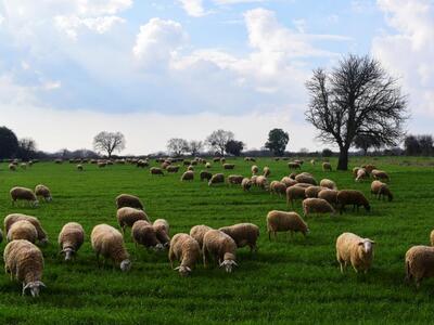 Τρία χρόνια παράταση για τη νομιμοποίηση...