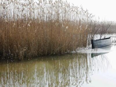 Συναγερμός στη λίμνη Δοϊράνης - Εμφανίστ...